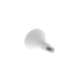 Bombillo de luz blanca Regulable NHB-W2102PK Marca: Nexxt.